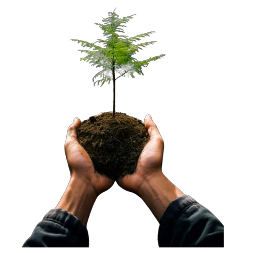 Corporate Carbon Compliance
